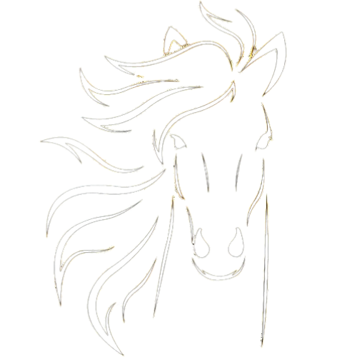 horse face outline
